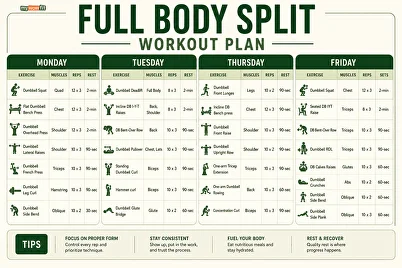 full body split