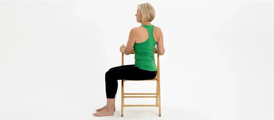 Seated Torso Twists