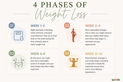 bodyweight fitness