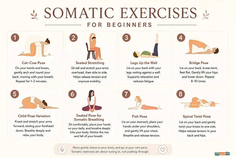 somatic exercises for beginners