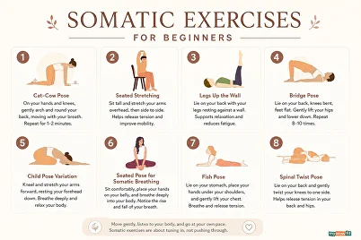 somatic exercises for beginners