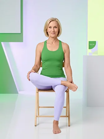 Seated Leg Lifts