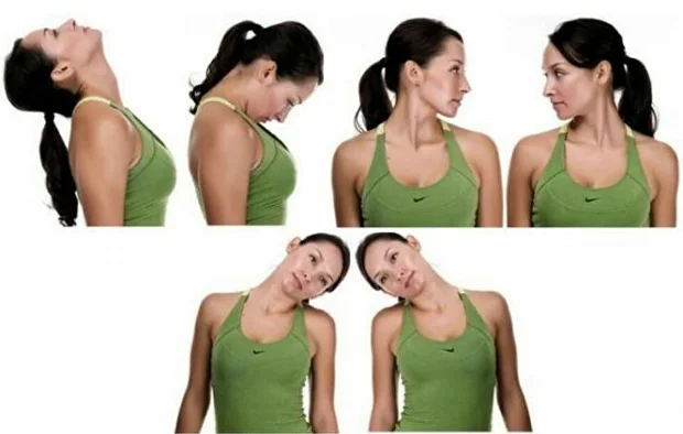 Neck Rolls
