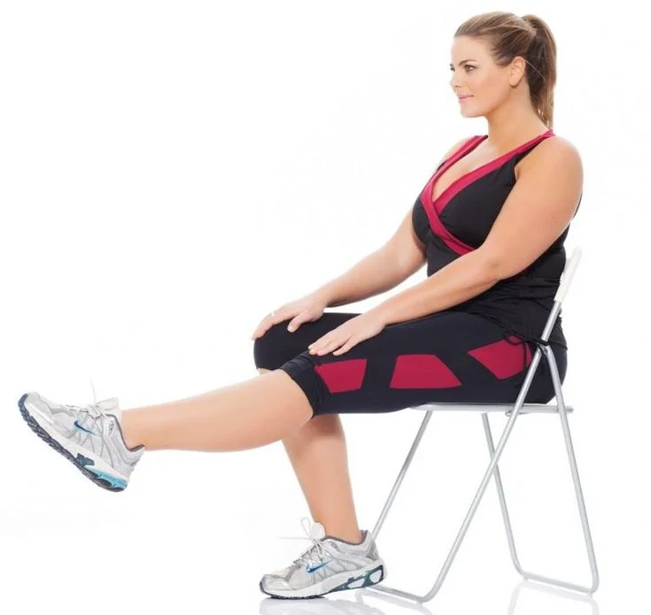 Seated Leg Raises