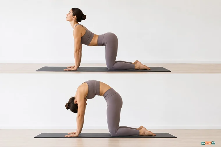 cat cow pose