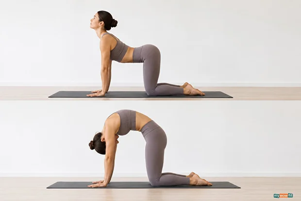 cat cow pose