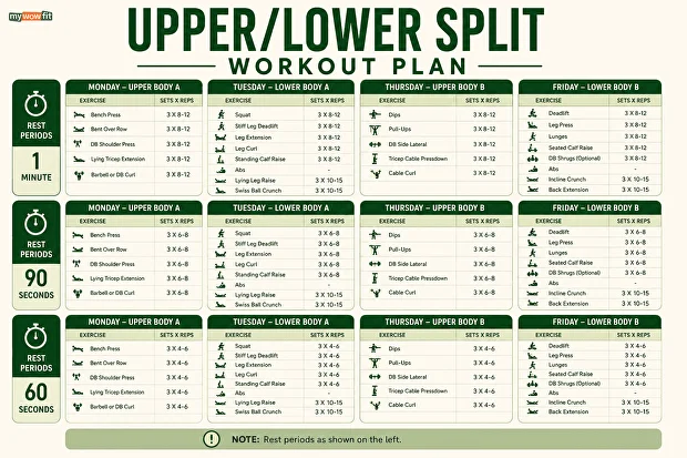 upper lower body split