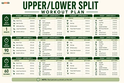 upper lower body split