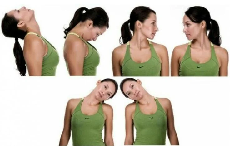 Neck Rolls