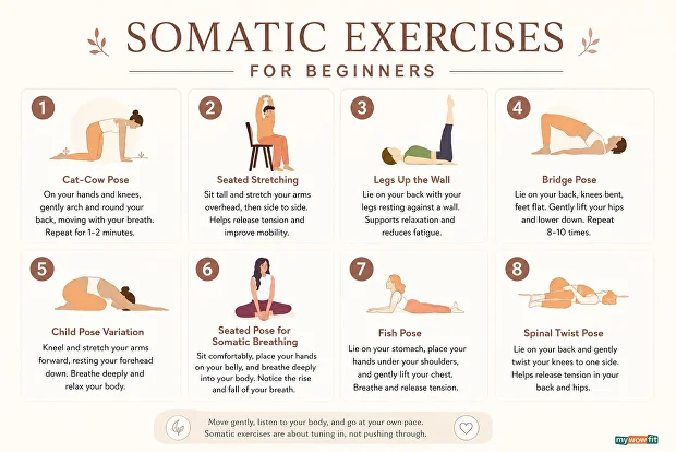 somatic exercises for beginners