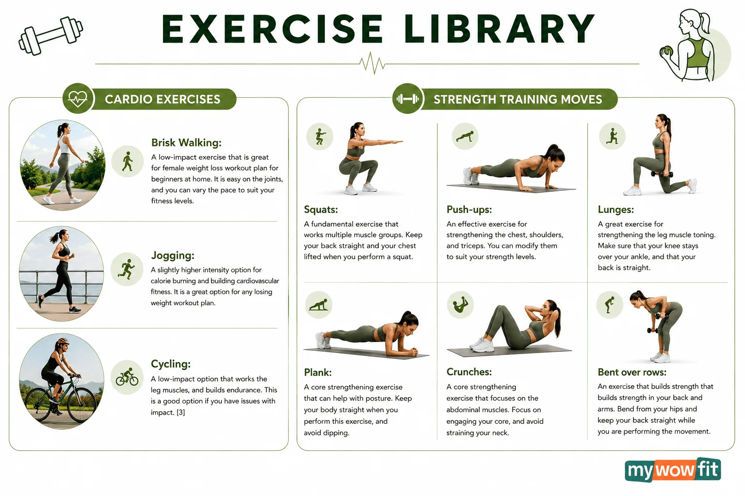 Infographic: exercise library for beginners